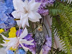 -seeu coffee(江滩店)