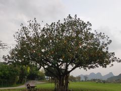 -南宁花花大世界景区