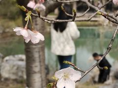 -杭州植物园