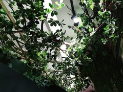 -云天楼国鼎喜宴中心(国鼎店)