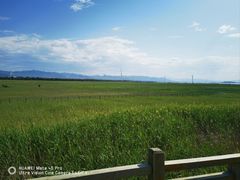 -野鸭湖国家湿地公园