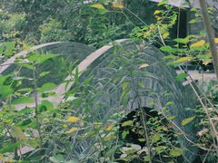 -渡江战役纪念馆