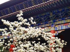 -皇罗禅寺