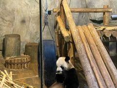 -深圳野生动物园