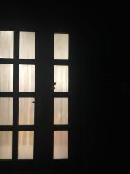 -Lab Season惜辰颜究社