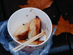 锅贴-洋洋锅贴