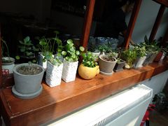 -铃木食堂(帽儿胡同店)