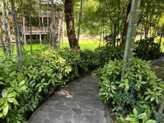 -善卷洞风景区