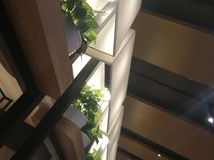 -肯德基(春申店)