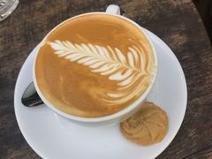 -Fern Forest Cafe