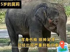 -昆明动物园