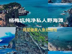 -杨梅坑