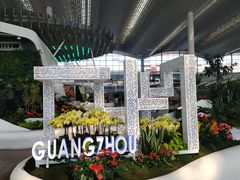-广州白云国际机场-T2航站楼