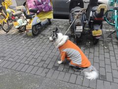 -全家便利店(孩儿巷店)