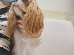 -美联众合动物医院·24h转诊中心