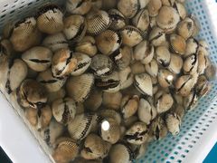 -一号码头蒸汽海鲜自助