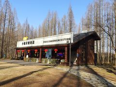 -黄海国家森林公园