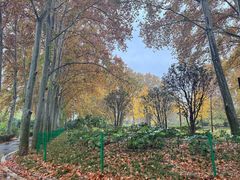 -河南省黄河迎宾馆