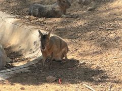 -辛玛王国游乐园