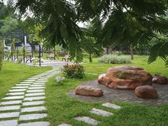 -中山大学附属第五医院