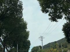 -苏州太湖湖滨国家湿地公园