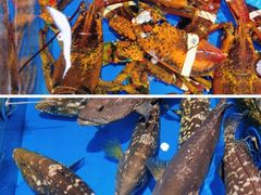 -四川小胡子海鲜(丁村万人海鲜广场店)