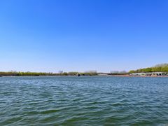 -大兴滨河森林公园