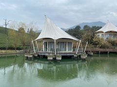 -帐篷客·溪龙茶谷度假酒店