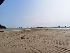 -贝壳沙滩