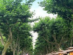 -杭州黄龙洞