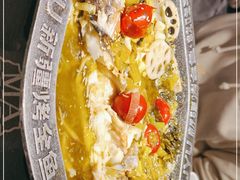 -马有鱼·馕坑烤全鱼(美美2店)