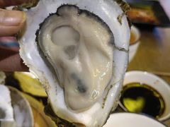 -土蚝·高压锅生蚝(百姓美食街店)