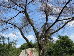 -成都武侯祠博物馆