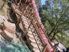 -北京西山国家森林公园