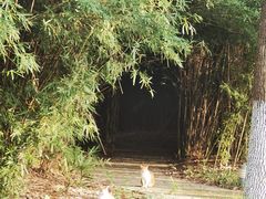 -华东政法大学(松江校区)