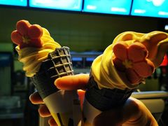芝士咸蛋黄冰淇淋-麦当劳(展览路店)