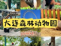 -大连森林动物园