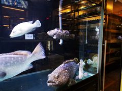 水产区-珍记海鲜酒家(嵩山路店)
