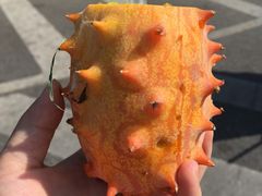 -水果立方果然鲜(升平路店)