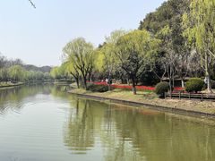 -上海鲜花港