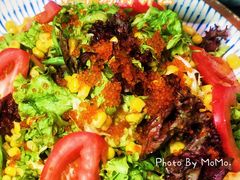 清爽蔬菜沙拉-NIUAN牛庵·日式和牛烧肉(恒隆店)