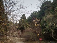 -佛慧山