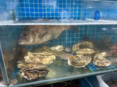 -宾朋海鲜特色美食餐厅·纯手工鲅鱼水饺(兴海路店)