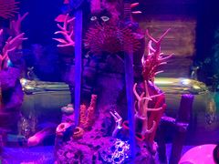 -沈阳海洋探索中心