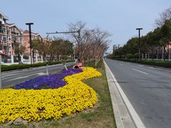 -上海交通大学医学院附属仁济医院(南院)