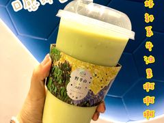 -野萃山·潮汕厚果汁(十亩地店)
