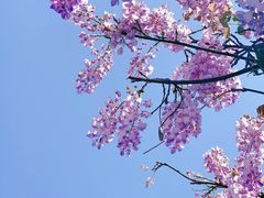 -双拥公园