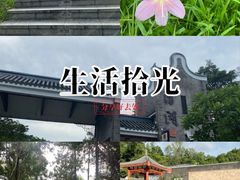 -清湖文化公园