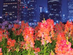 -海心沙亚运公园
