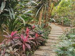 -南宫五洲植物乐园